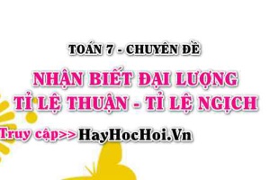 Cách nhận biết tỉ lệ thuận tỉ lệ nghịch, ví dụ minh họa Toán 7 (cực hay)